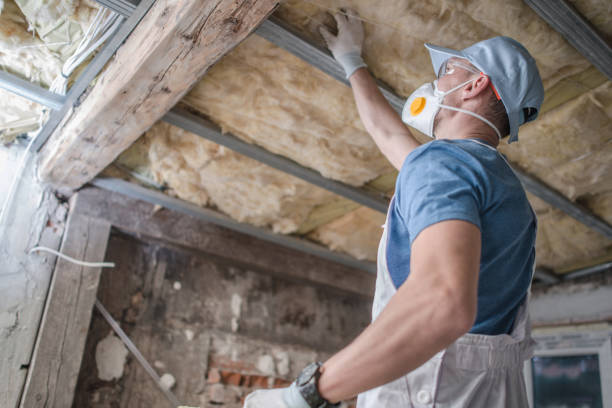 Insulation Replacement Services in Penn State Erie, PA