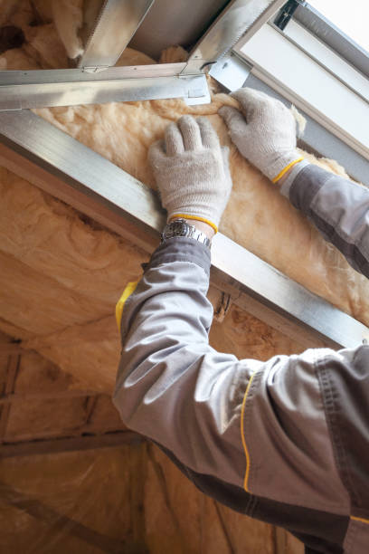 Best Local Insulation Services  in Penn State Erie, PA