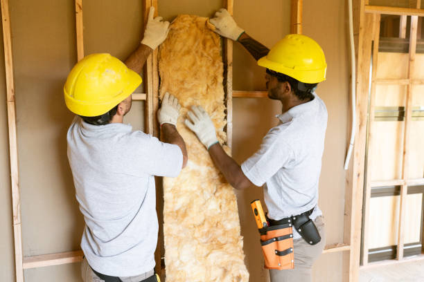 Best Best Insulation Companies  in Penn State Erie, PA